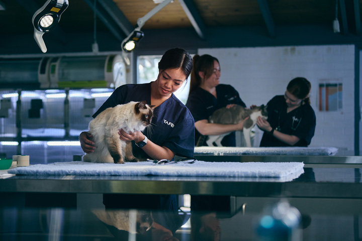 Certificate III in Animal Care Services