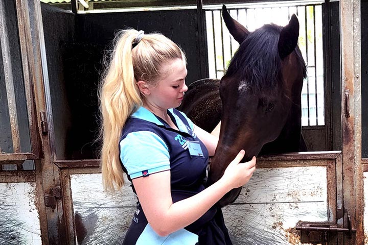 Certificate III in Horse Care