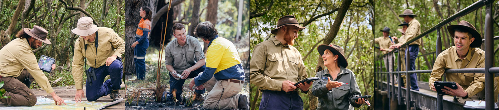 A person in high-visibility clothing assists with planting or tending to vegetation in a natural area, and two individuals, wearing wide-brimmed hats and holding tablets, engage in a conversation amidst a wooded environment.