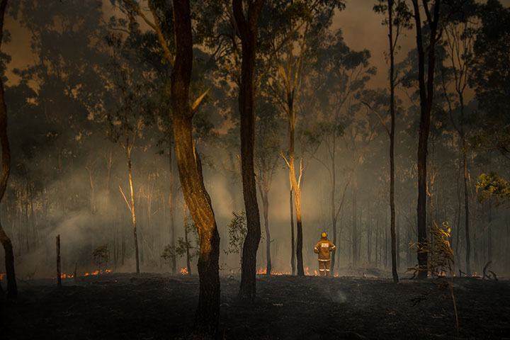 This banner image shows the devastation of a fire that has torn through an area of bushland. There’s a firefighter standing in the middle of the image.