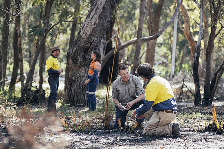 A group of people are engaged in environmental work in bushland. Two people are kneeling, while two others stand nearby, suggesting a collaborative effort in land restoration or conservation. The setting is bright and natural.