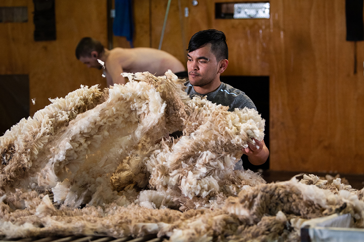 Wool workers