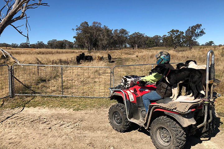 Statement of Attainment in Side by Side Operations