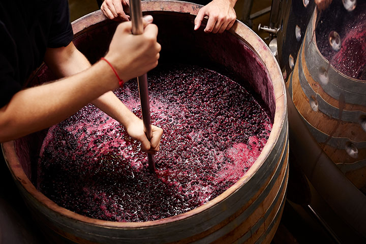 TAFE Statement in Valpolicella Education Program - Advanced Level 2 Valpolicella Scholar