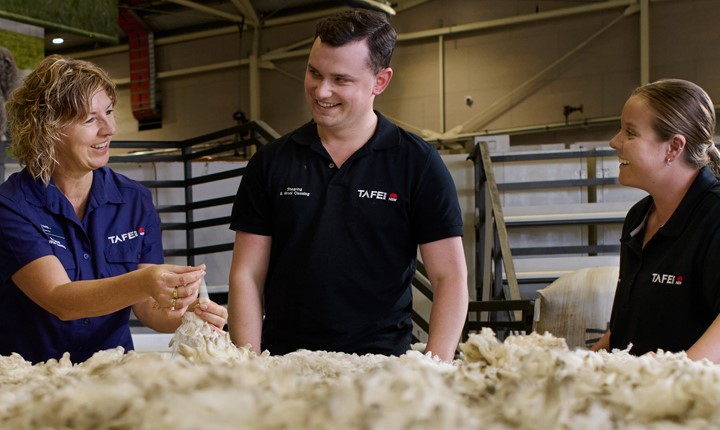 A group of 3 people classing wool.