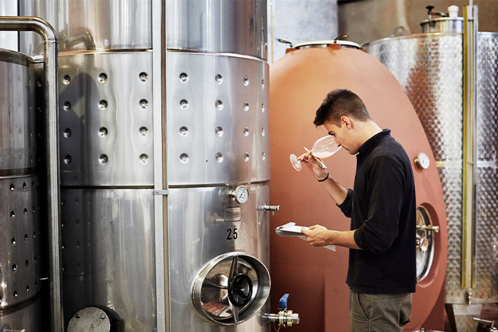 A young male vintner in a wine cellar, holding a glass and tasting his latest wine creation.