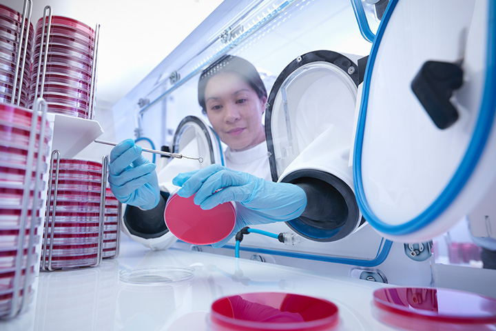 Statement of Attainment in Food Microbiology for Food Safety Auditors