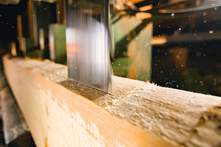 Certificate III in Saw Technology