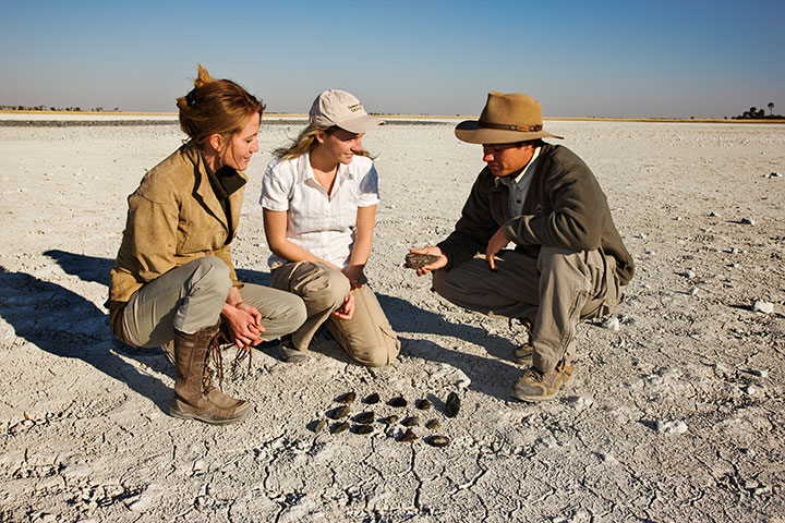 Discovering the secrets of the coast: A guide shares geological insights with visitors on a scenic beach.