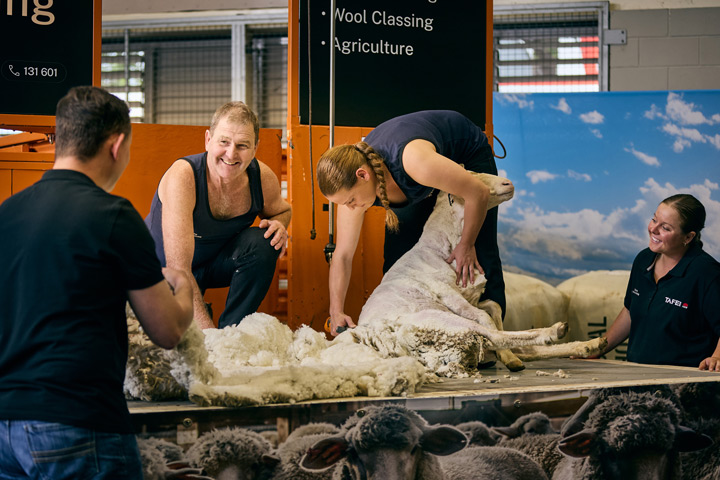 TAFE NSW shearing student holds and shears a sheep on a raised platform while a teacher and other students observe and assist, with fleece spread across the table and sheep visible in holding pens below inside an agricultural training facility.