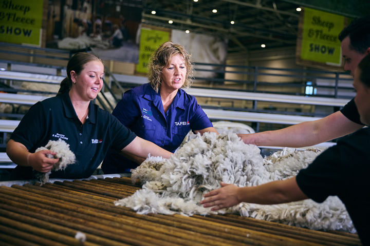 Certificate IV in Wool Classing