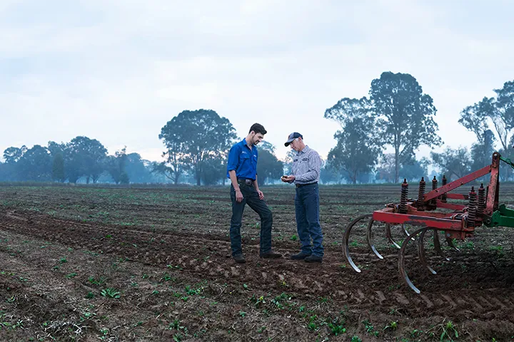 Teacher guiding a dedicated student in hands-on learning, cultivating practical skills amidst the crops.