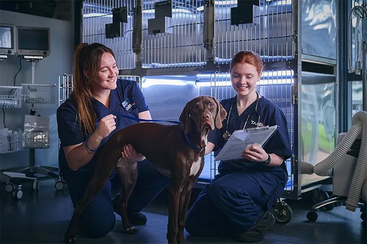 Vet nursing student and teacher kneel beside a large short‑haired dog in a clinical training room, with stainless steel animal enclosures, medical equipment, and a clipboard used for assessment.