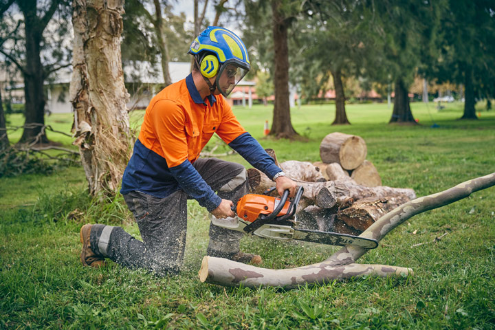 Statement of Attainment in Chainsaw Operations Trim and Cut