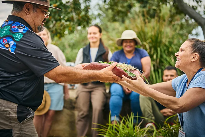 Course in Aboriginal and/or Torres Strait Islander Cultural Education