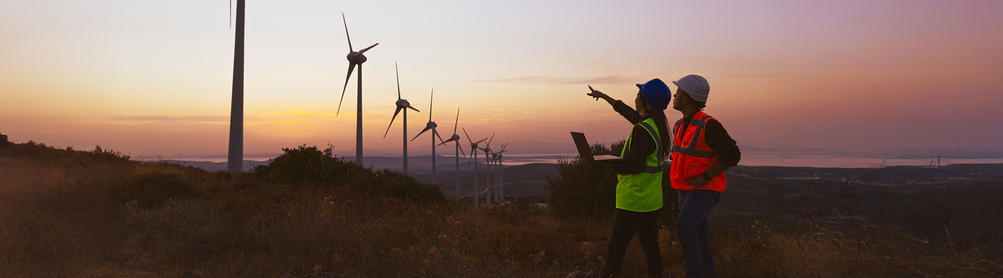 People inspecting windmills