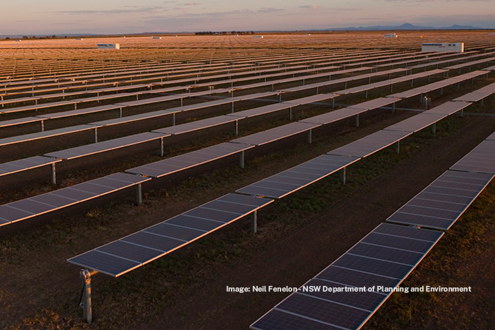 Rows of solar panels at sunset in a large solar farm.