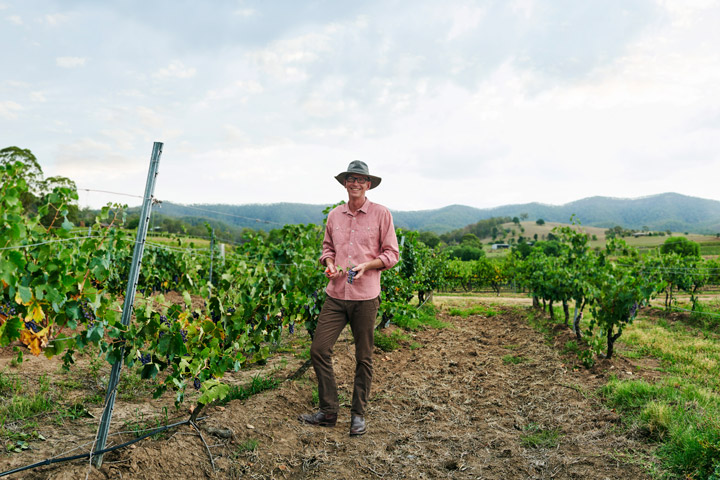 Diploma of Viticulture