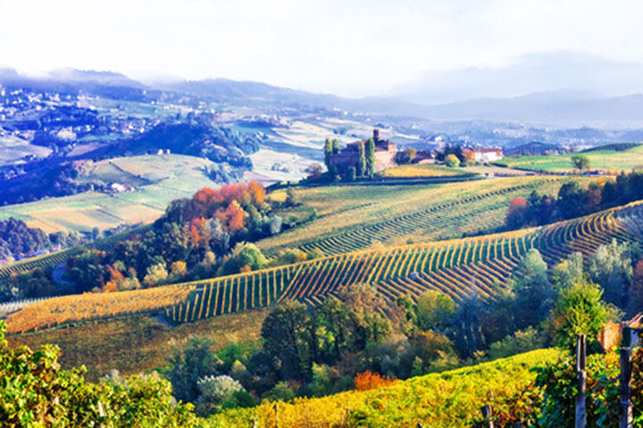 Idyllic northern Italian vineyard and countryside view over hills and valleys. The colourful patchwork of farms, hamlets and clusters of trees in autumnal colours is all the more beautiful with the day’s golden sunset light.