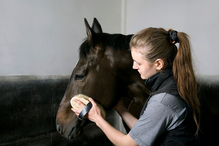 Statement of Attainment in Foaling Night Watch
