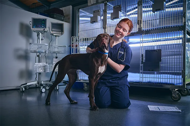 Vet nursing student and teacher kneel beside a large dog in a clinical training room, gently supporting and examining the animal in front of stainless steel enclosures and medical equipment.