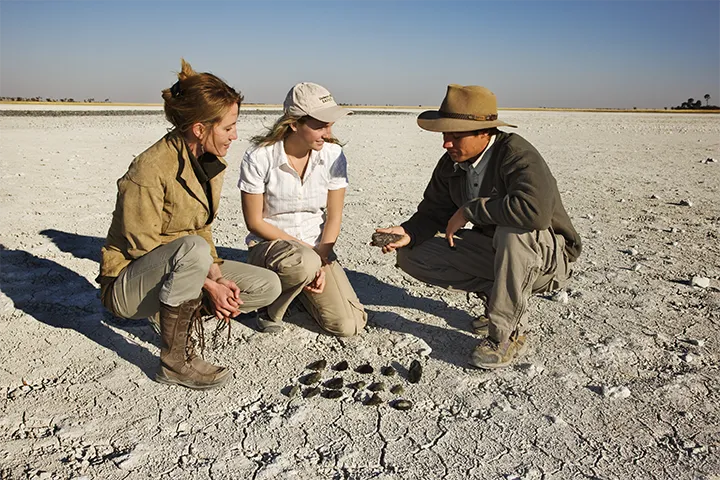 Discovering the secrets of the coast: A guide shares geological insights with visitors on a scenic beach.